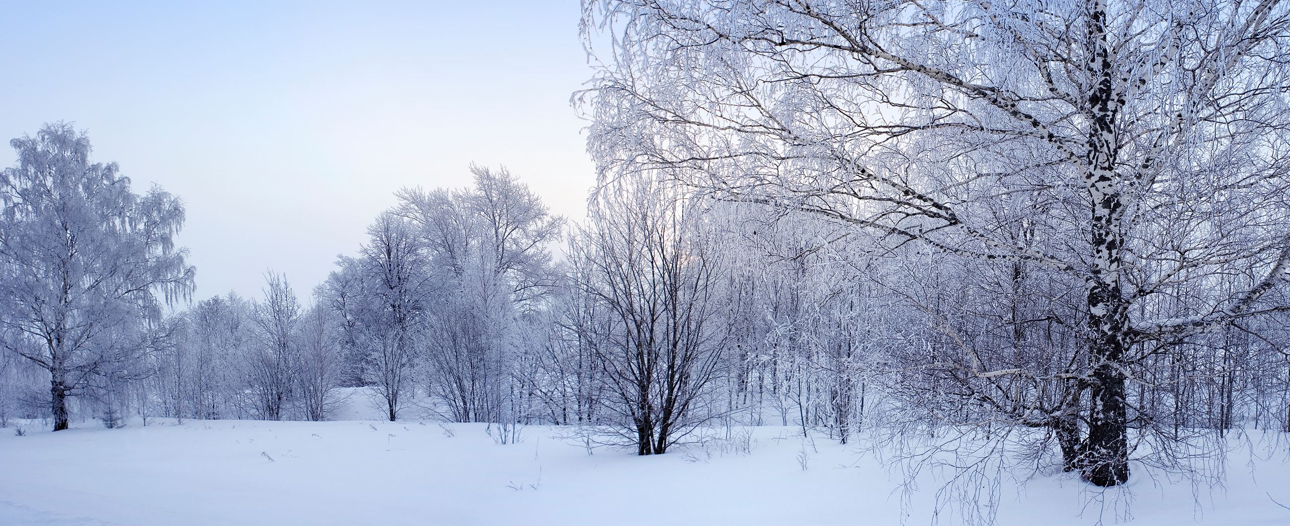 WinterScene