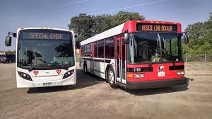 buses