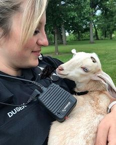 Goat Yoga in the Park