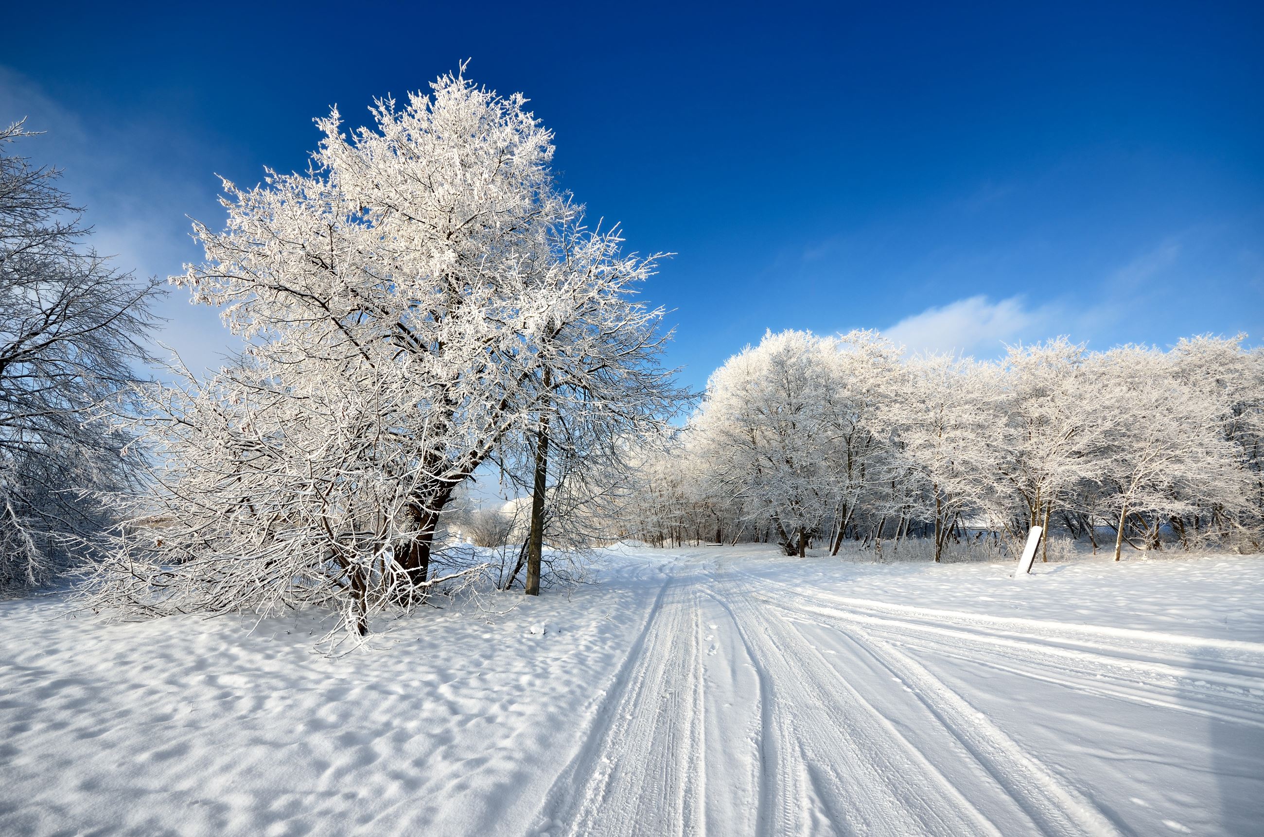 Winter