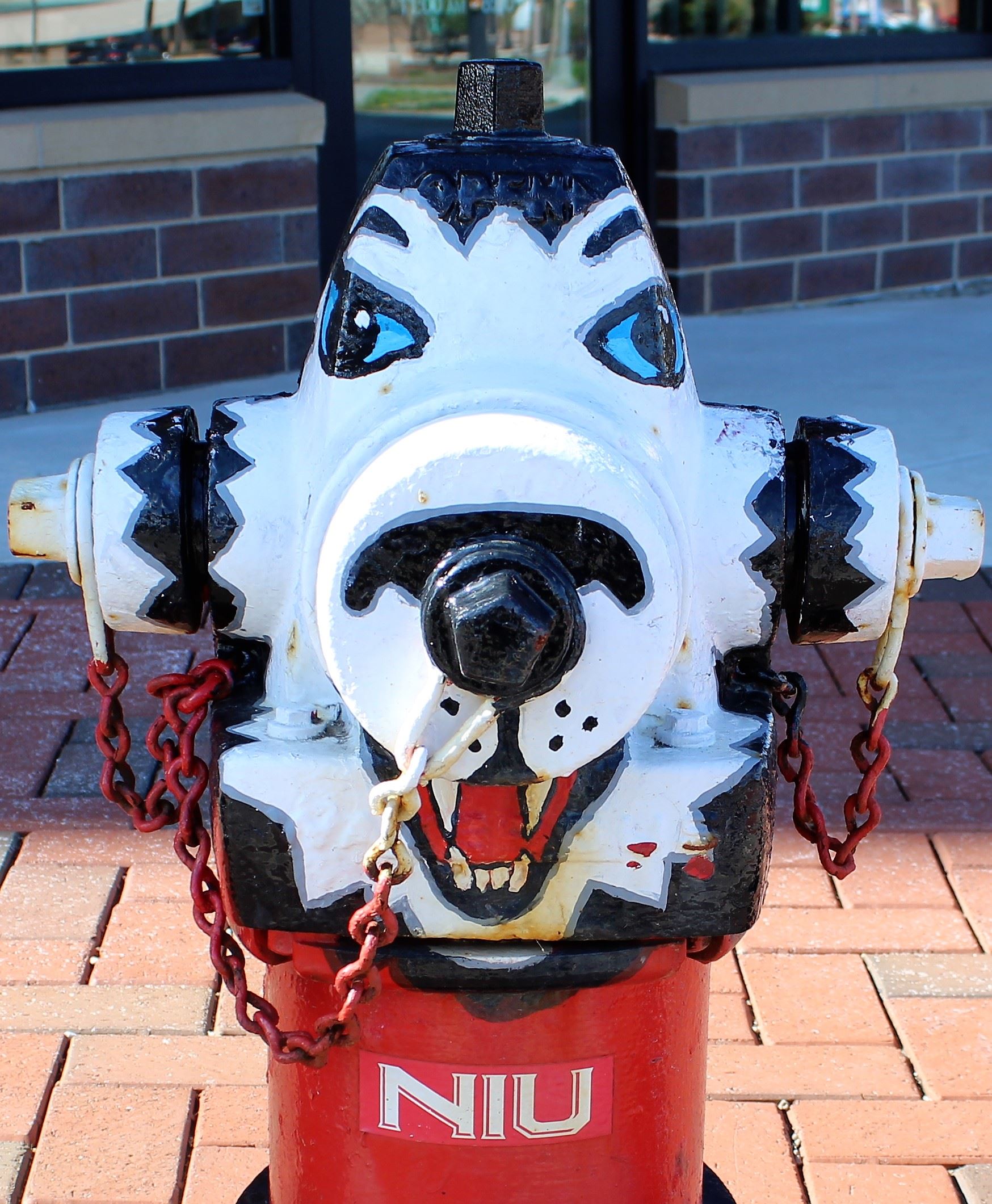 An NIU Huskie is painted on a downtown fire hydrant