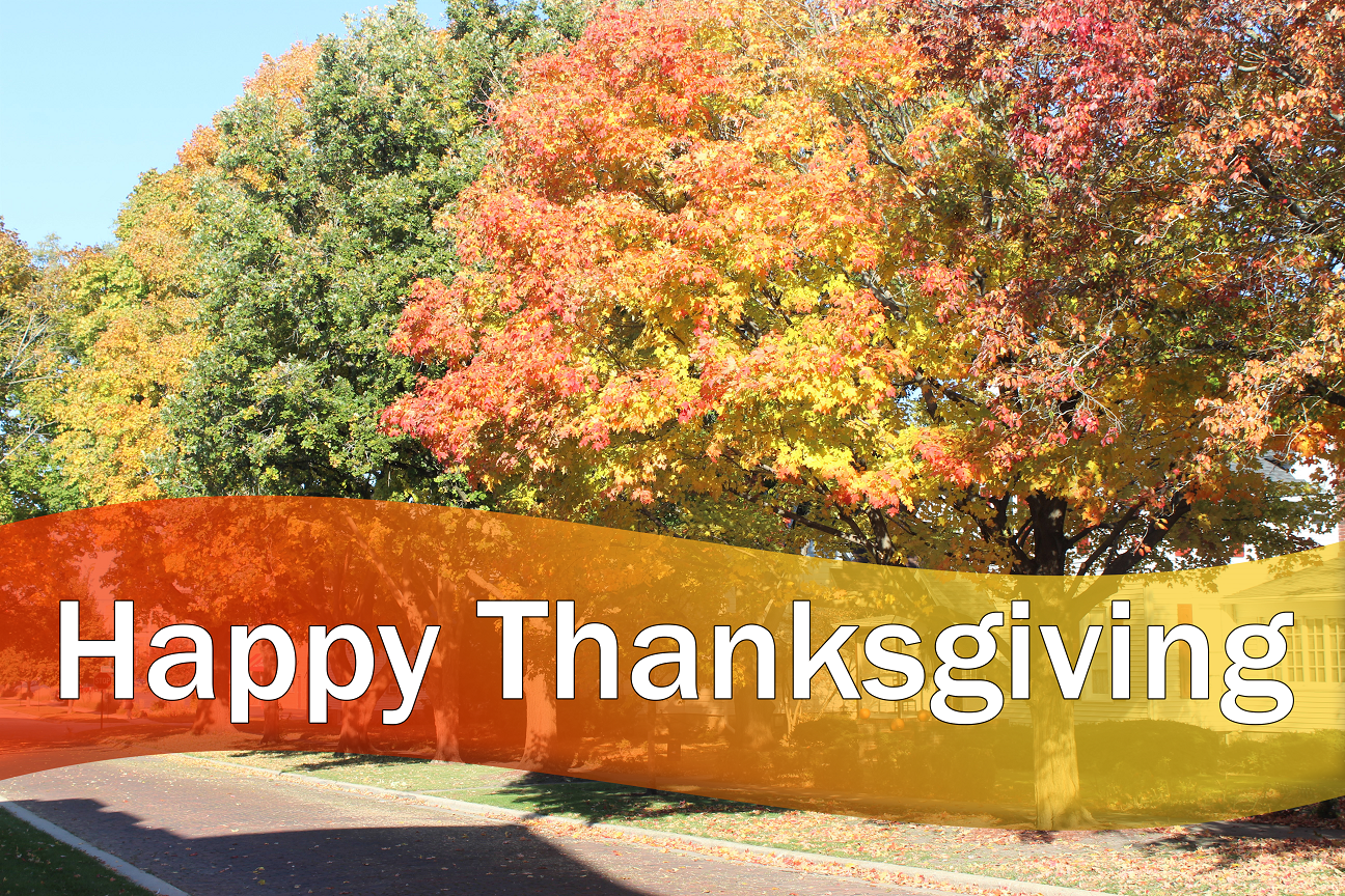 A photo of trees in the fall and text saying, 