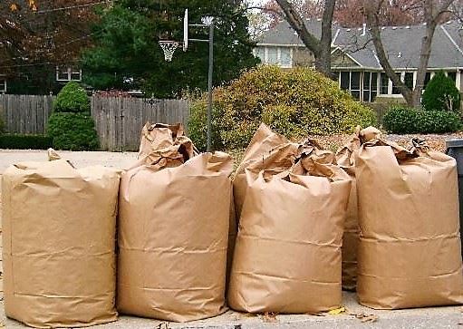 Yard waste bags lined up at a curb