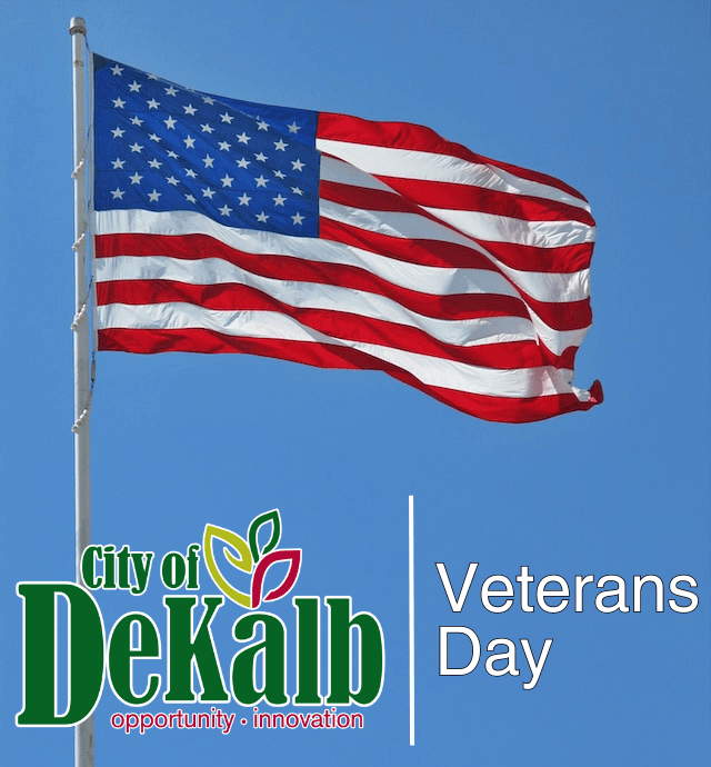 An American flag with the City logo and the words 