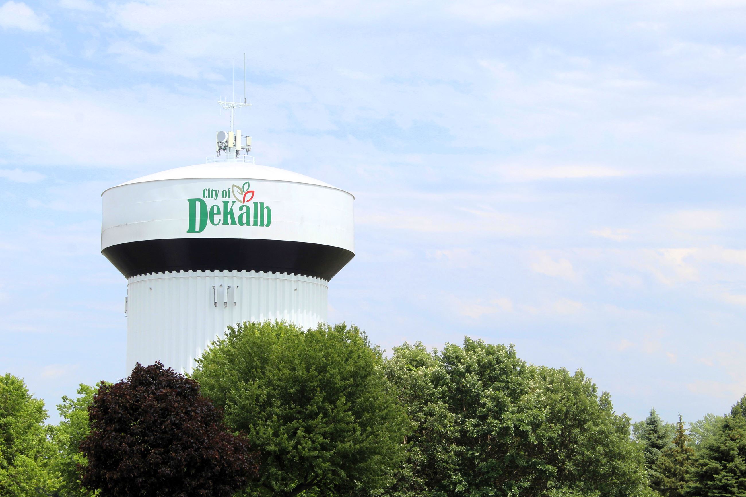 The City's Dresser Road water tower with trees in the foreground