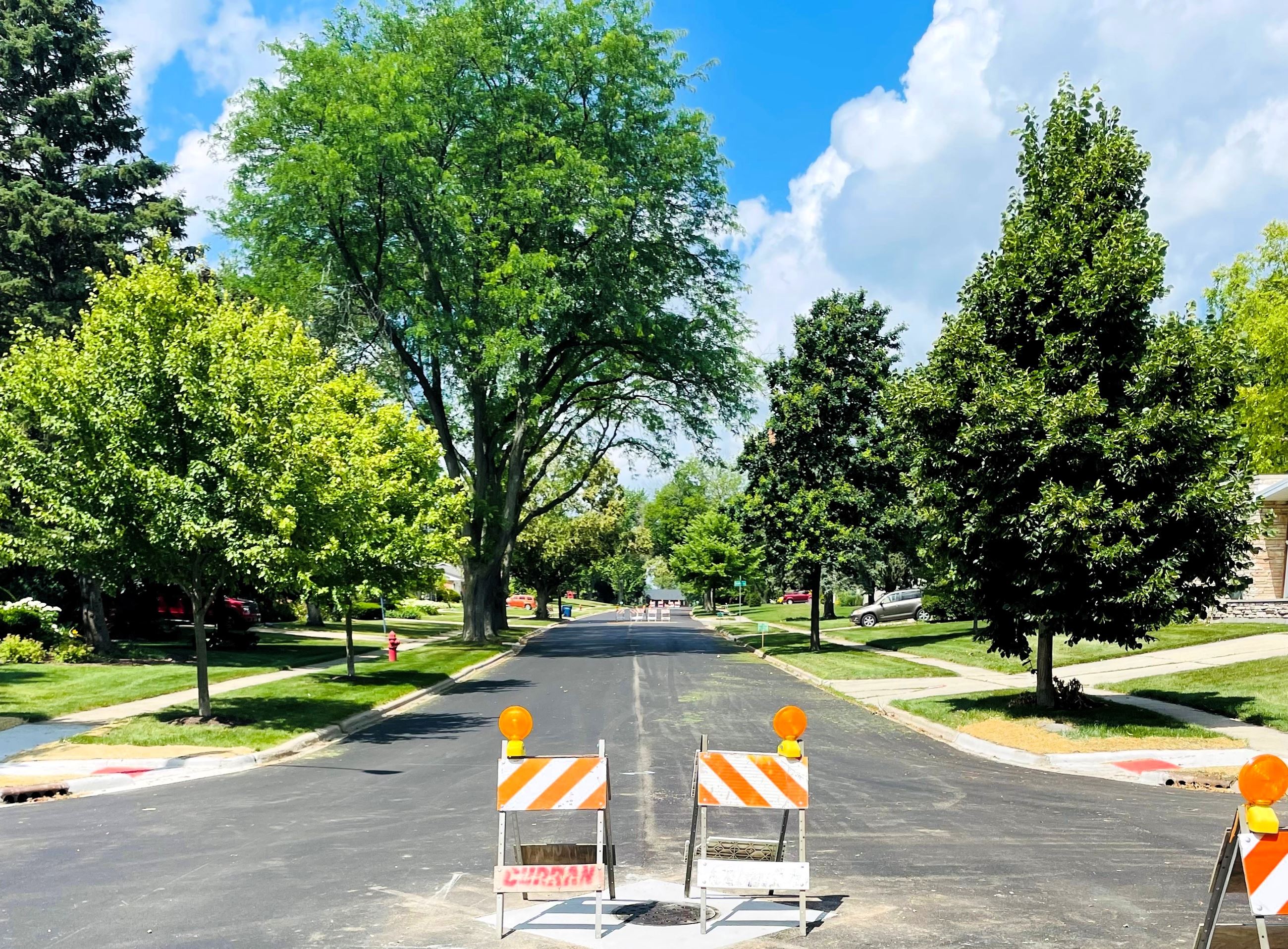 Construction horses on Laurel Lane shortly after it was resurfaced